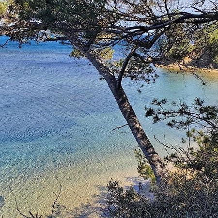 Appartement Dans Residence Avec Piscine La Londe-les-Maures Eksteriør bilde