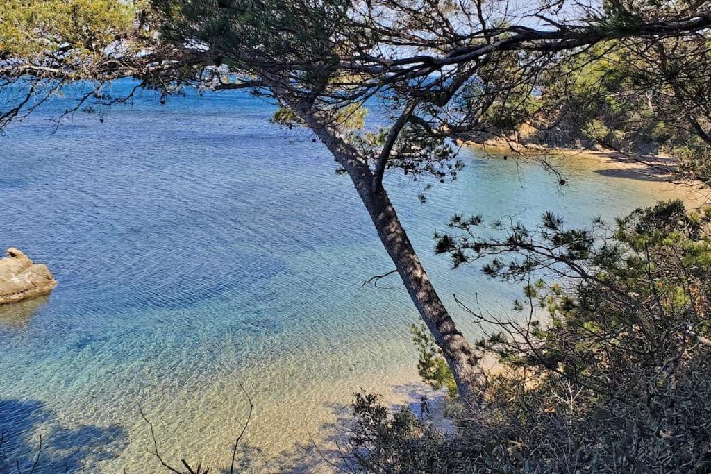 Appartement Dans Residence Avec Piscine La Londe-les-Maures Eksteriør bilde