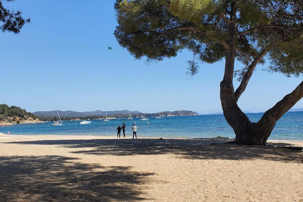 Appartement Dans Residence Avec Piscine La Londe-les-Maures Eksteriør bilde